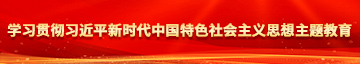 激情插逼免费网站学习贯彻习近平新时代中国特色社会主义思想主题教育